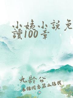 小姨小说免费阅读100章