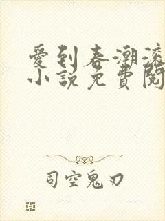 爱到春潮滚滚来小说免费阅读