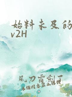 始料未及的软1v2H