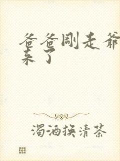 爸爸刚走爷爷就来了