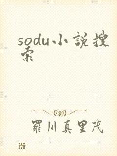 sodu小说搜索