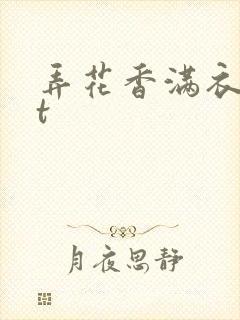 弄花香满衣txt