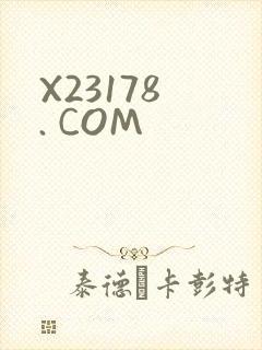 X23178 . COM
