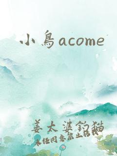 小鸟acome