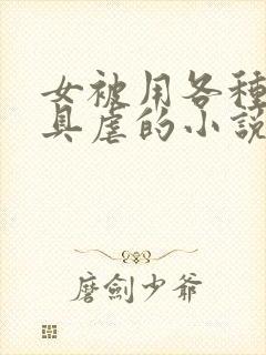 女被用各种性器具虐的小说