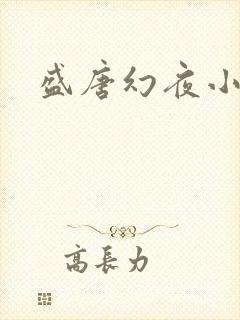 盛唐幻夜小说