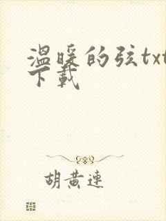 温暖的弦txt下载