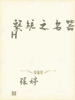 系统之名器勾男H