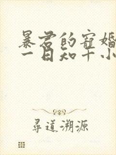 暴君的宠婚日常一日知千小说免费