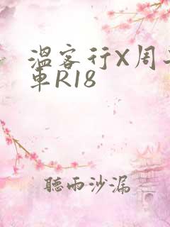 温客行X周子舒车R18