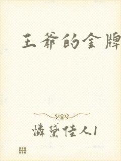 王爷的金牌暗卫