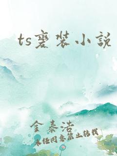ts变装小说
