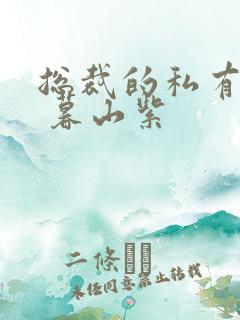 总裁的私有宝贝 暮山紫