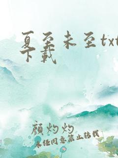 夏至未至txt下载