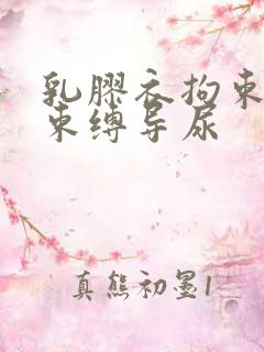 乳胶衣拘束震动束缚导尿