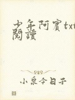 少年阿宾txt阅读