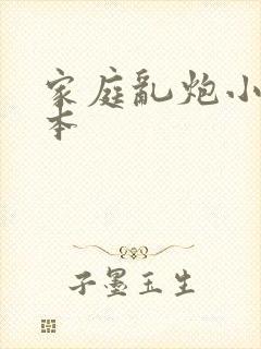 家庭乱炮小说全本