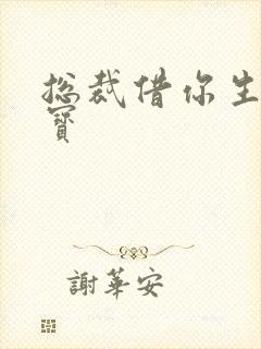 总裁借你生个宝宝