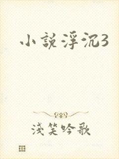 小说浮沉3