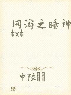 网游之睡神传说txt