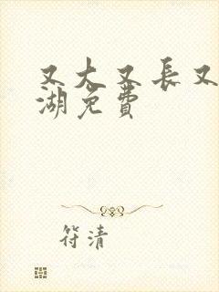 又大又长又租高湖免费