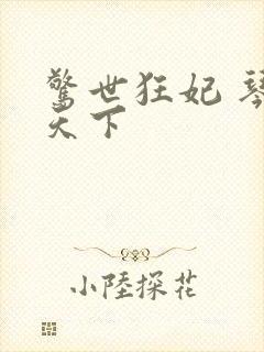 惊世狂妃 琴战天下