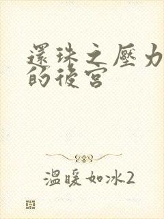 还珠之压力山大的后宫