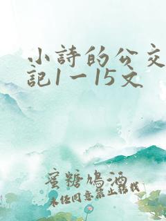 小诗的公交车日记1一15文