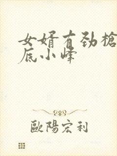 女婿有劲枪枪到底小峰