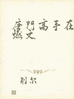 唐门高手在异世燃文