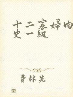 十二寡妇肉床艳史一级