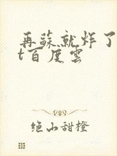 再苏就炸了txt百度云