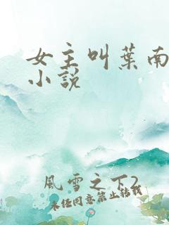 女主叫叶南初的小说