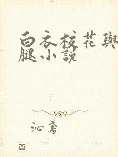 白衣校花与大长腿小说