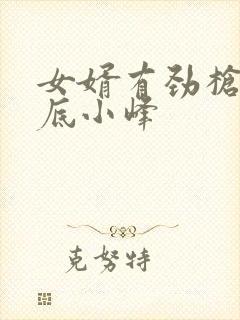 女婿有劲枪枪到底小峰