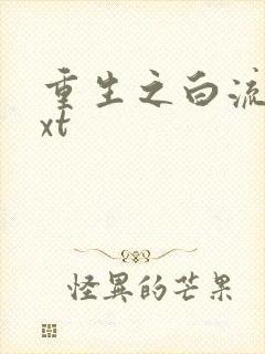 重生之白流苏txt