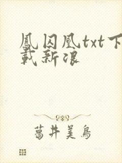 凤囚凰txt下载新浪