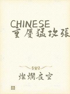 CHINESE重庆猛攻张先生