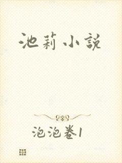 池莉小说