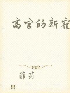 高官的新宠