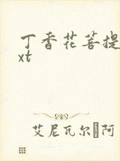 丁香花菩提树txt