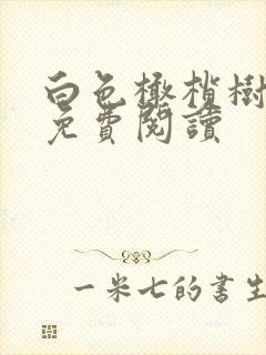 白色橄榄树全文免费阅读