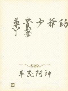 尊贵少爷的大牌丫鬟