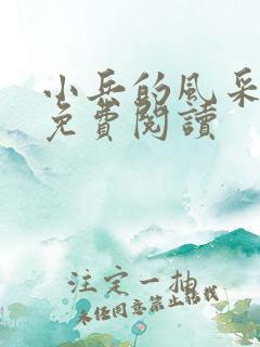 小兵的风采小说免费阅读