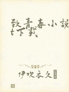 致青春小说txt下载