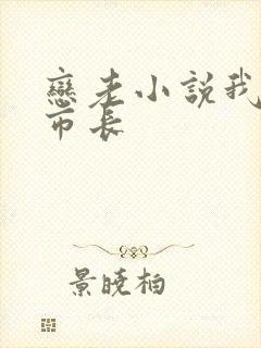 恋老小说我和老市长