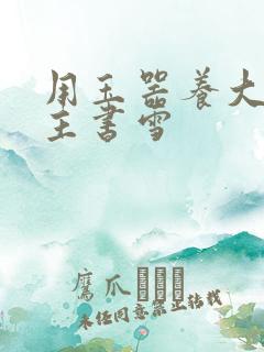 用玉器养大的公主书雪