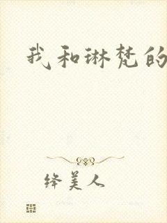 我和琳梵的故事