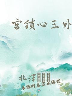 宫锁心玉外传