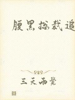 腹黑总裁追娇妻